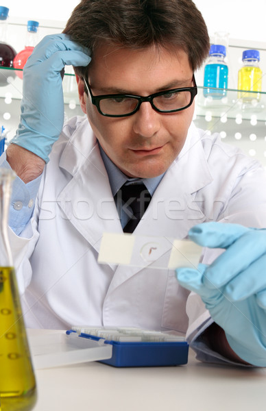 Scientist studies microscope slide Stock photo © lovleah