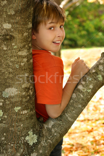 [[stock_photo]]: Garçon · arbre · enfant · feuillus · automne