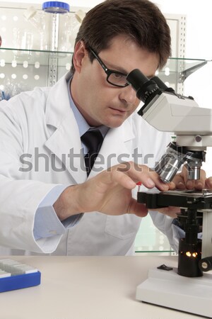 Forense cientista trabalhar sessão laboratório cena do crime Foto stock © lovleah