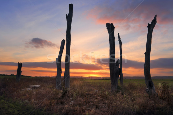 Sunset Penrith NSW Australia Stock photo © lovleah