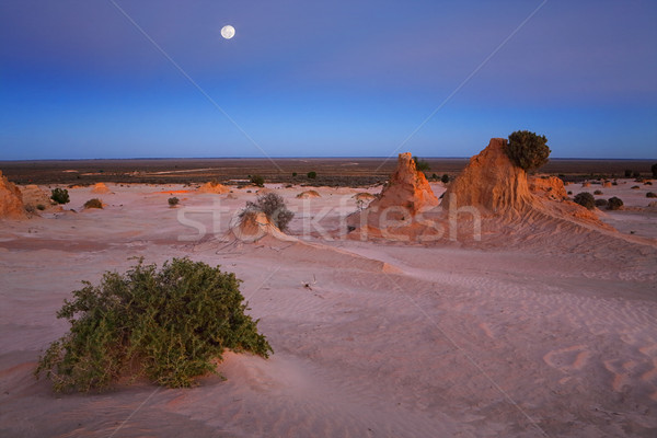 Deserto paisagem madrugada legal sem nuvens céu Foto stock © lovleah