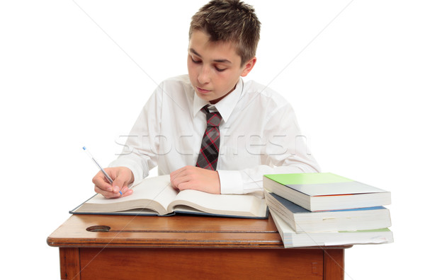 Conscientious school boy student Stock photo © lovleah
