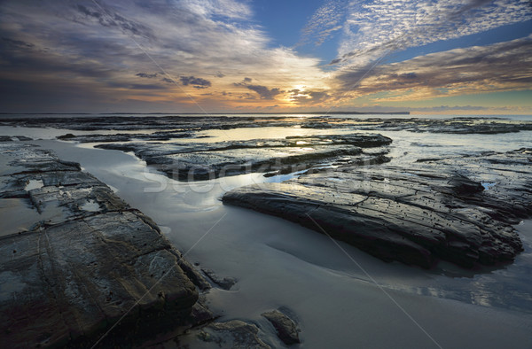 Stockfoto: Plantage · punt · licht · zon · hoog · wolk