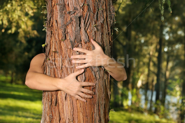 Stock photo: Save the trees Save the environment