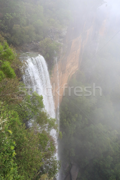 Mist and clouds at Fitzroy Falls Stock photo © lovleah