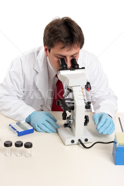 Scientist studying  slide under microscope Stock photo © lovleah