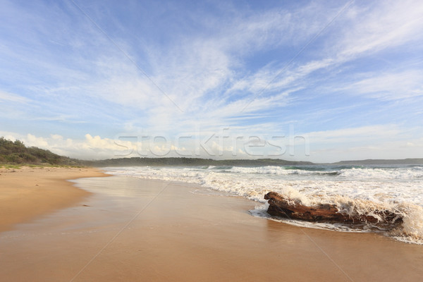 Spiaggia Australia onde crash mare Foto d'archivio © lovleah