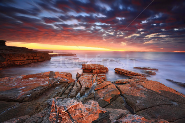 Stunning sunrise at Maroubra Stock photo © lovleah