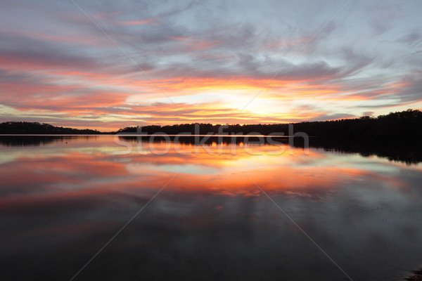 Sunrise reflections Narrabeen Lakes NSW Australia Stock photo © lovleah