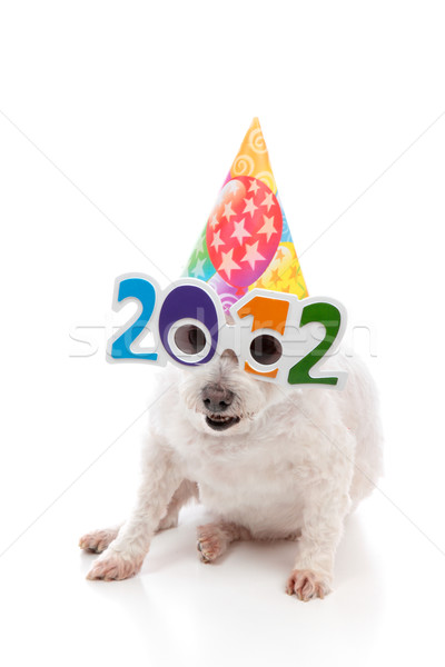Partij vieren nieuwjaar 2012 grappig witte Stockfoto © lovleah