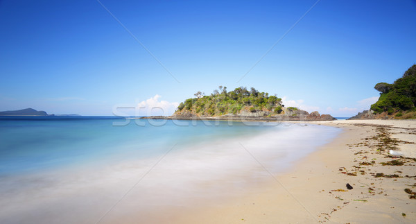 第一 海灘 密封 岩 澳大利亞 北 商業照片 © lovleah