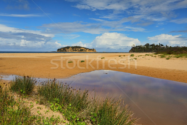 Jimmies Island views  Stock photo © lovleah