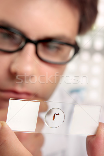 Stockfoto: Microscoop · slide · wetenschapper · bereid · werk