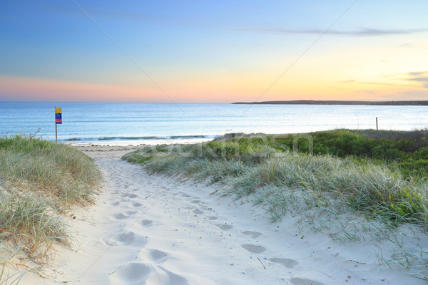 Sandy path to Greenhills Beach at dusk sundown Stock photo © lovleah