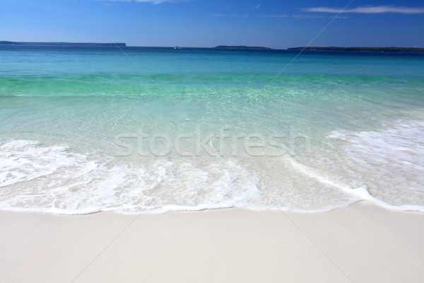 Waves on the beach Stock photo © lovleah