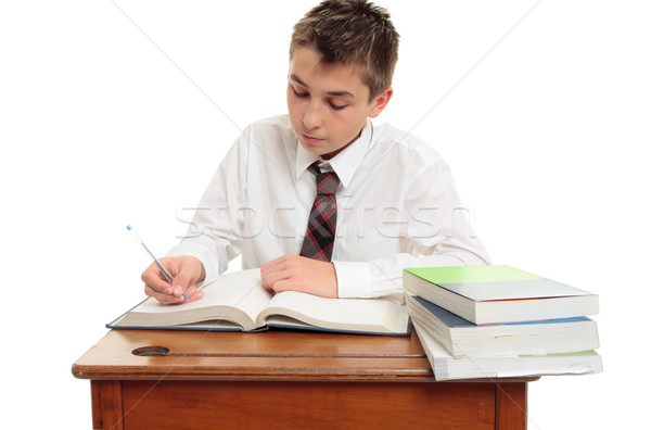 Stock photo: Conscientious school boy student