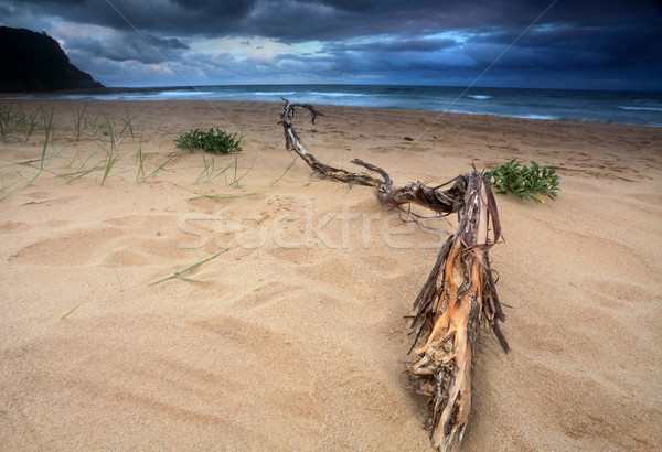 Stock photo: Storm clouds building up over the sea