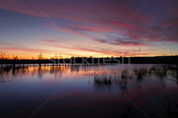 Sunset Penrith Lakes NSW Australia Stock photo © lovleah