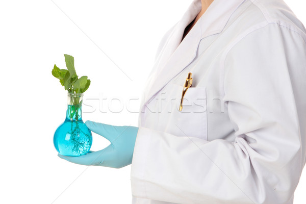 Agronomy -agricultural science Stock photo © lovleah