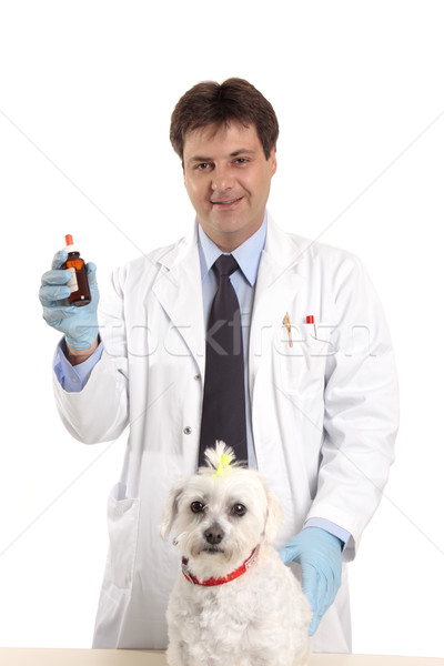 Veterinarian with medicine Stock photo © lovleah