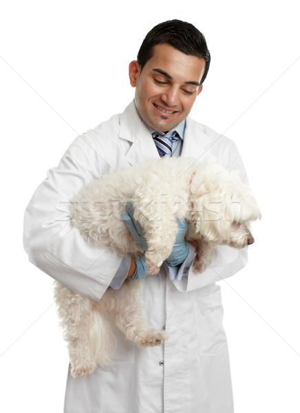 Veterinarian carrying a small dog Stock photo © lovleah
