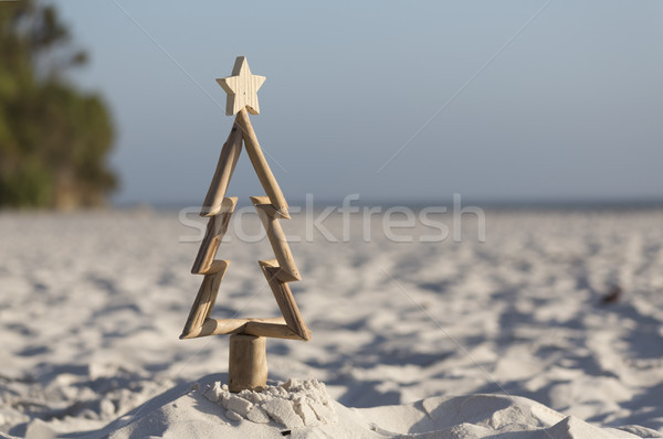 流木 クリスマスツリー ビーチ 砂 夏 背景 ストックフォト © lovleah