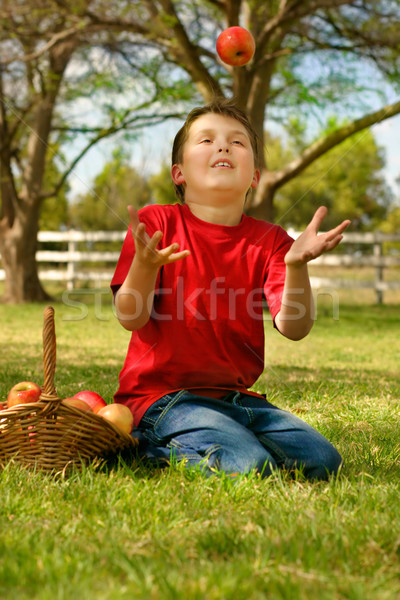 Child at leisure throws apple into air  Stock photo © lovleah