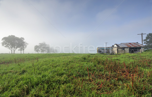 Mistig ochtend mistig oude zuivelfabriek boerderij Stockfoto © lovleah