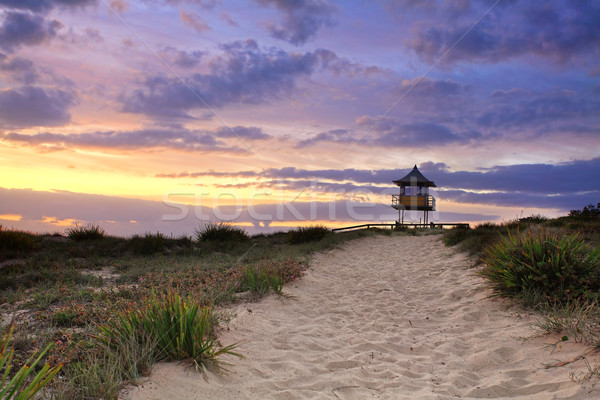 Plage de sable chemin sunrise entrée [[stock_photo]] © lovleah