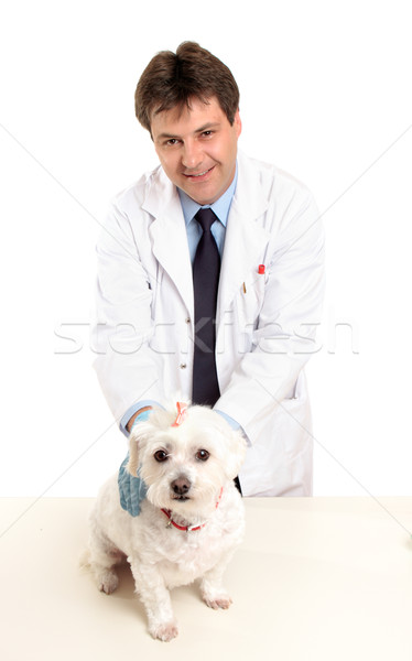 Vet holding dog on table Stock photo © lovleah