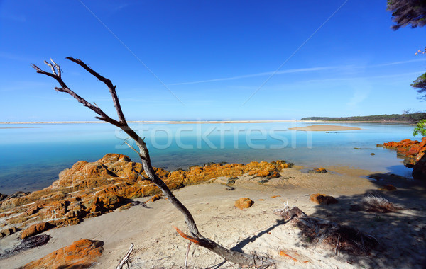 Beautiful day in Mallacoota Australia Stock photo © lovleah