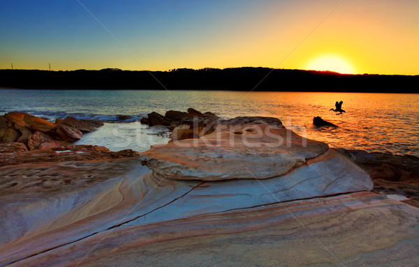 Sunrise at Bare Island Stock photo © lovleah