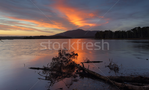 Sunset over Mt Gulaga NSW Australia Stock photo © lovleah