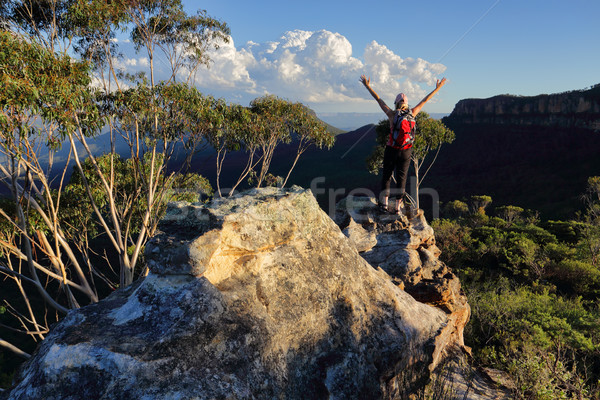 Woman top of mountain exuberant success Stock photo © lovleah