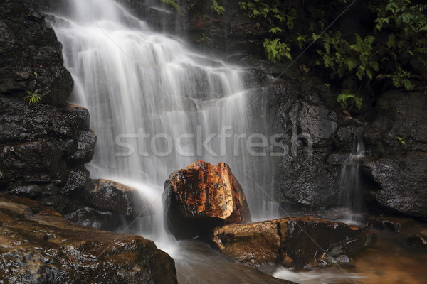 Edith Falls Blue Mountains Stock photo © lovleah