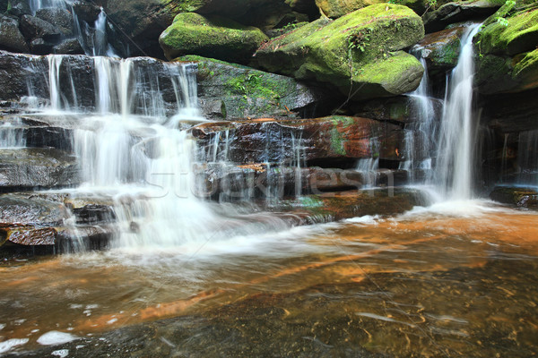 Somersby Waterfalls Australia Stock photo © lovleah