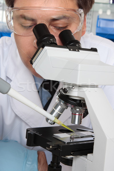 Scientist researcher with microscope Stock photo © lovleah