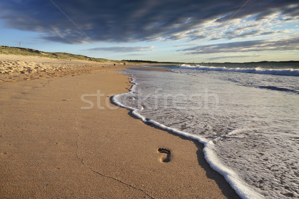 Footsteps in the sand Stock photo © lovleah