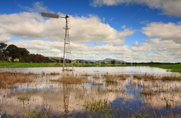 Waterlogged countryside Stock photo © lovleah