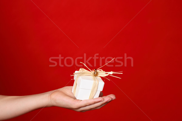 Giving a present Stock photo © lovleah