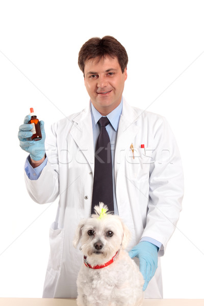 állatorvos gyógyszer férfi állatorvos mutat kenőcs Stock fotó © lovleah