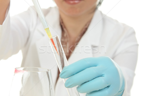Forense cientista trabalhar feminino trabalhando profissional Foto stock © lovleah