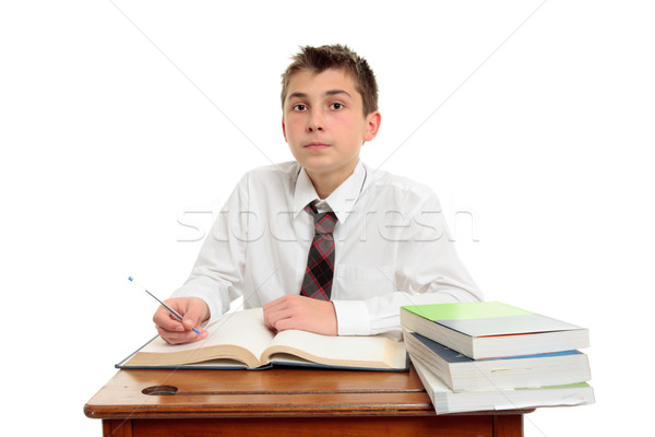 Attentive school student doing work Stock photo © lovleah