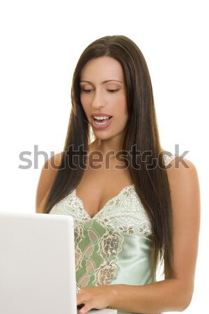 Woman Typing on a Laptop Stock photo © lovleah