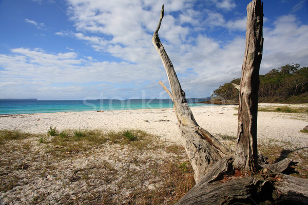 Greenfields Beach Jervis Bay Australia Stock photo © lovleah