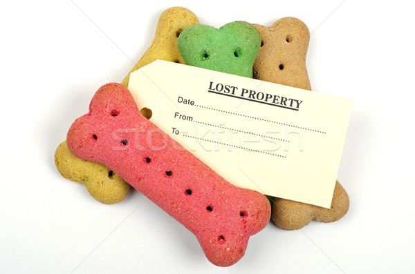 dog biscuits and lost property tag Stock photo © luapvision
