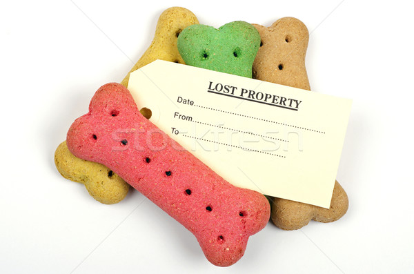 Stockfoto: Hond · biscuits · verloren · eigendom · tag · label