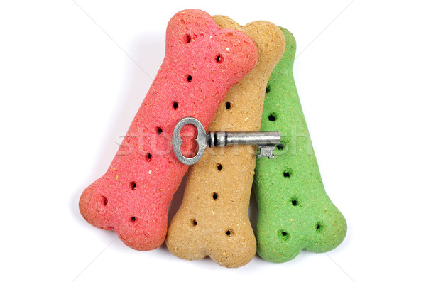 Hund Snacks Silber Schlüssel drei Kekse Stock foto © luapvision