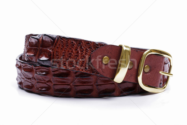 crocodile leather belt Stock photo © luapvision