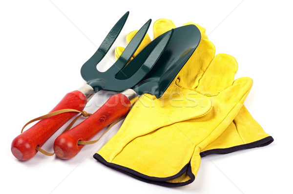 Gartenarbeit Gabel Handschuhe Garten Werkzeuge Leder Stock foto © luapvision